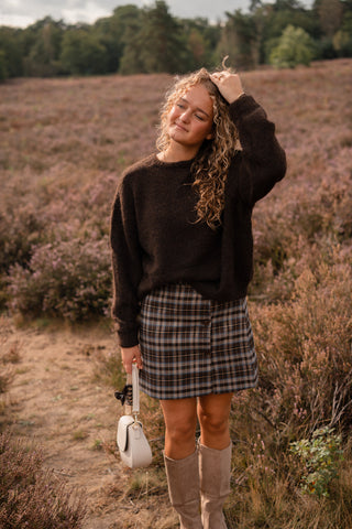 Ydence skirt jessica brown/blue