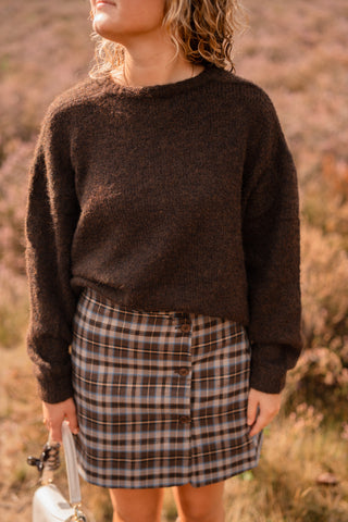 Ydence skirt jessica brown/blue