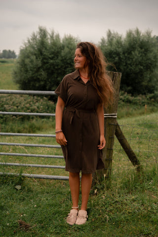 95261 anne dress brown