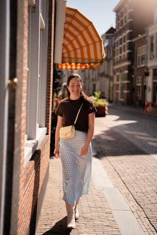 pin skirt satin dots blue/brown