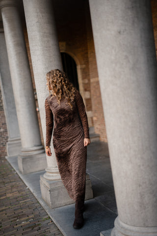 Azzurro dress mesh brown