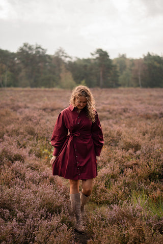 Azzurro dress bordeaux Vera